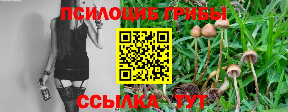 Галлюциногенные грибы прущие грибы  Вход с VPN  Алейск 