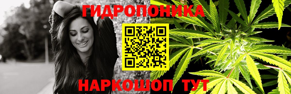 Бошки марихуана тримм  Канабис White Widow  Алейск  Конопля гибрид  Каннабис сатива  Вход с VPN 