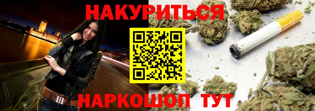 Бошки Шишки планчик Алейск
